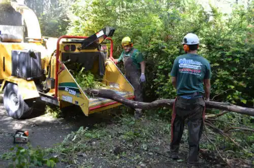 tree services Fairhope